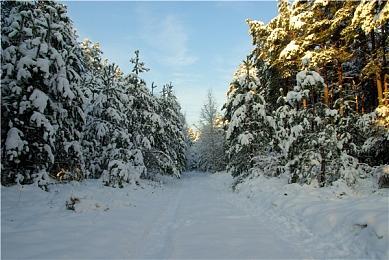 真人恋爱游戏《做你的猫》Steam页面上线 支持中文